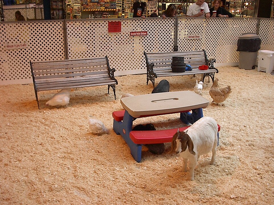 Kinderboerderij De Brink