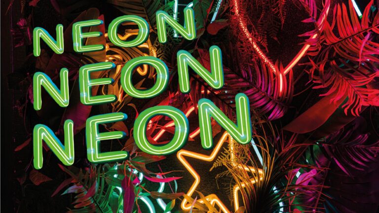 Kinderdisco Neon Disco — muziek in Zeist