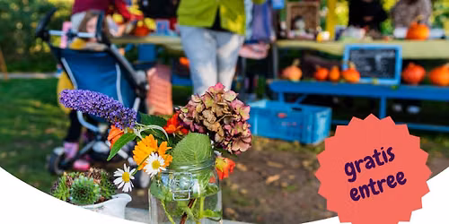 Brinker Herfstmarkt — muziek in Zeist